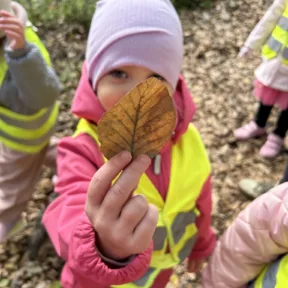 Autumn Harvest
