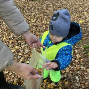 Autumn Harvest