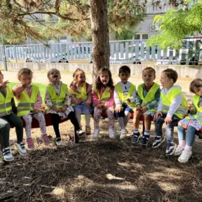 Class Picnic
