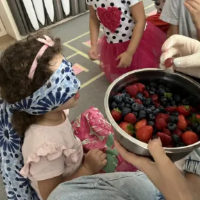 Class Picnic