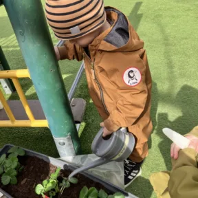 Gardening
