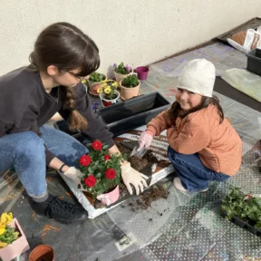 Gardening