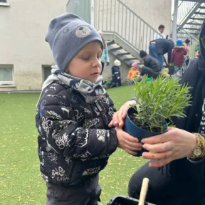 Gardening
