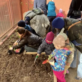 Gardening