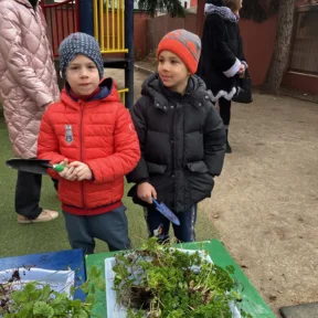 Gardening