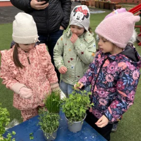 Gardening