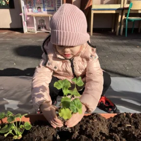 Gardening