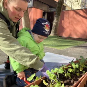 Gardening