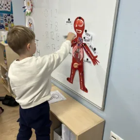 Human Body