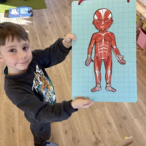 Human Body