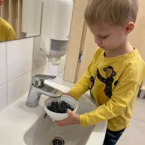 Shopping and Cooking