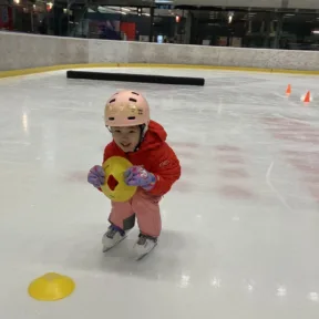 Skating course