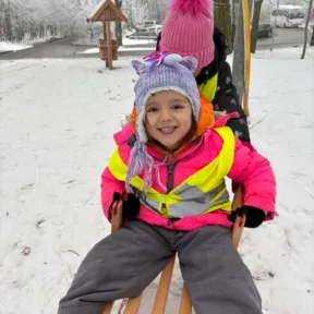 Sledging
