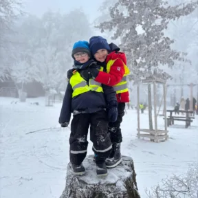 Sledging