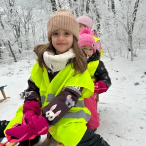 Sledging