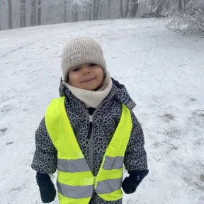 Sledging