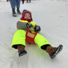Sledging