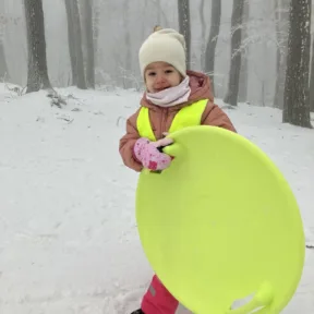 Sledging