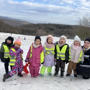 Sledging