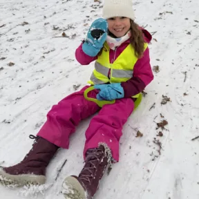 Sledging