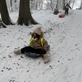 Sledging