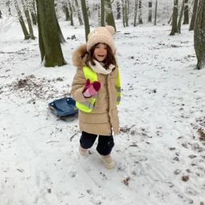 Sledging