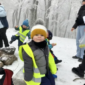 Sledging