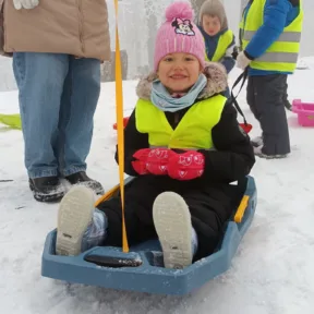 Sledging