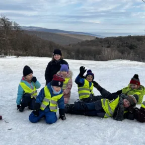 Sledging