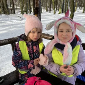 Sledging
