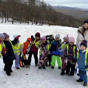 Sledging