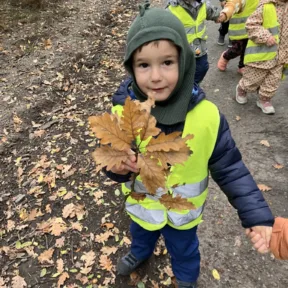 Autumn in the Forest