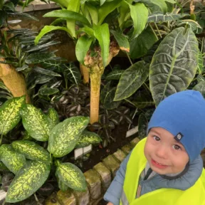 Botanical garden