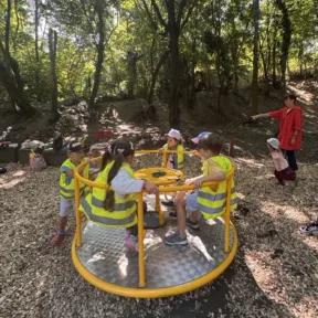 Class picnic