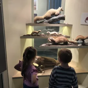 Výlet do Slovenského národného múzea