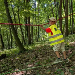 Dobrodružstvo v lese