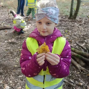 Forest School with CIS