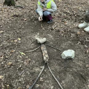 Forest School with CIS