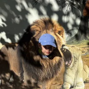 Zábava so zvieratkami
