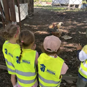 Zábava so zvieratkami