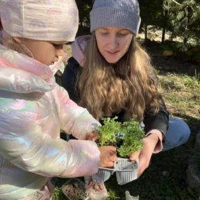 Gardening