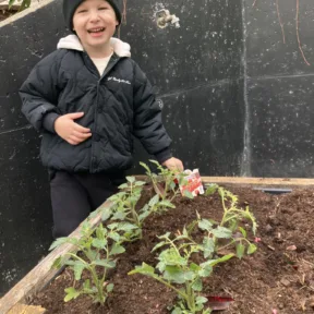 Gardening