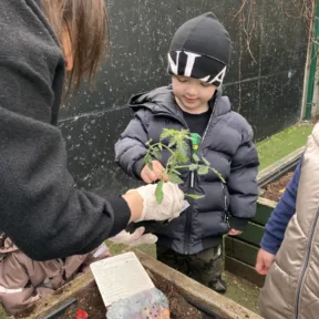 Gardening
