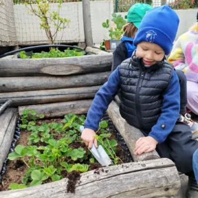 Gardening