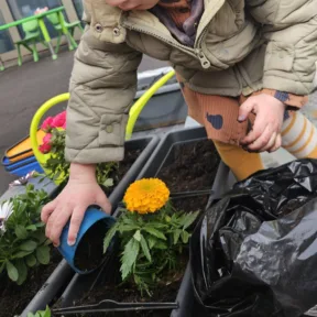 Gardening