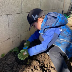 Gardening