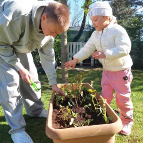 Gardening