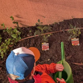 Gardening