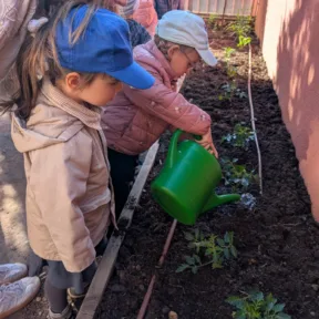 Gardening
