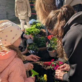 Gardening